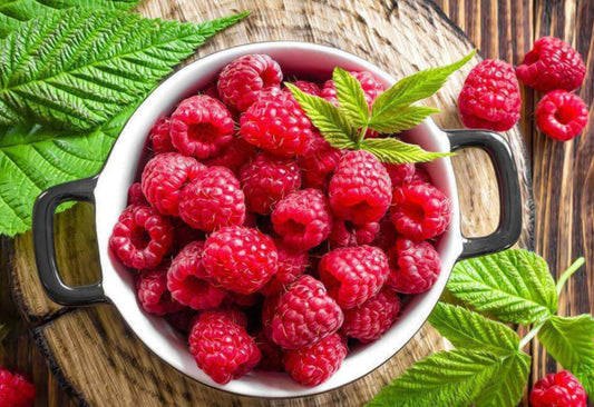 Red Raspberry Seed Oil for Skin: Benefits, Chemical Composition, and SPF Benefits
