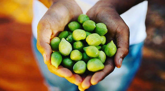The Effectiveness of Kakadu Plum Oil for the Face: A Natural Powerhouse for Skin Care