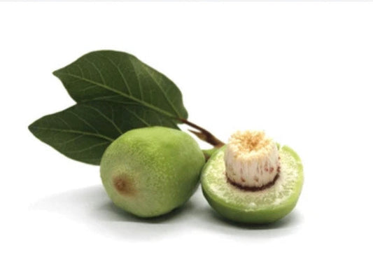 What is plum oil and how is it different than kakadu plum oil?