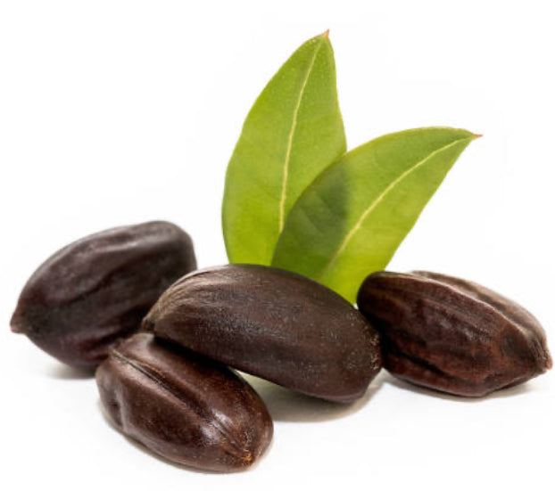 The Ultimate Guide to Jojoba Oil: Skin Benefits, Ceramides, and Dermatologist Recommendations