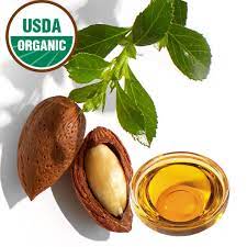 How can jojoba oil benefit your skin care routine?