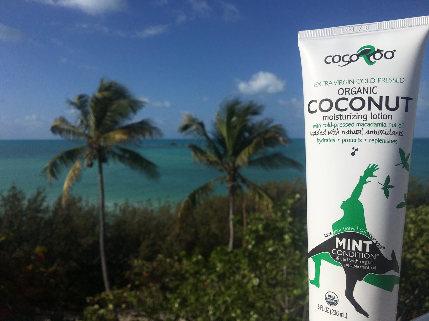 Mint Condition Organic Coconut Oil Moisturizer